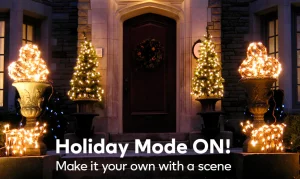 Holiday Mode On! Make it your own with a scene