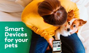 Smart Devices For Your Pets