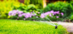 Motion Sensor Sprinkler