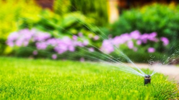 Motion Sensor Sprinkler